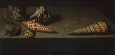 Lézard et coquillages (Balthasar van der Ast) - Muzeo.com