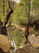 Les bords du Cousin (Morvan) (anonyme) - Muzeo.com