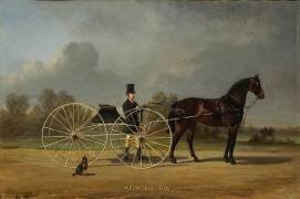 Mountain boy (anonyme) - Muzeo.com