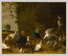 Oiseaux de basse-cour (Adriaen van Utrecht) - Muzeo.com