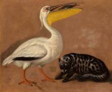 Palmipèdes et félins (Alexandre-François Desportes) - Muzeo.com