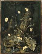 Serpents et papillons (Otto Marseus van Schrieck) - Muzeo.com