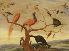 Un concert d'oiseaux (Jan van Kessel) - Muzeo.com