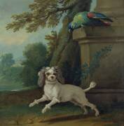 Zaza (Jean-Baptiste Oudry) - Muzeo.com