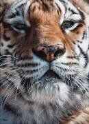 Ancrage (Christophe Drochon) - Muzeo.com