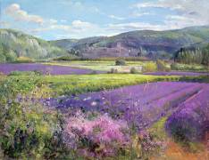 Champs de lavande dans la vieille Provence (Timothy Easton) - Muzeo.com