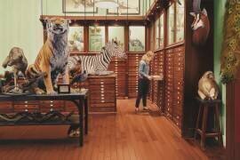 Deyrolle (Max Ferguson) - Muzeo.com