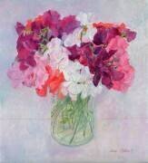 Pois doux (Ann Patrick) - Muzeo.com