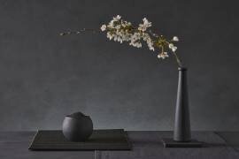 Prunus Avium (Christophe Verot) - Muzeo.com