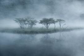 Toki-no-kiokui (Shota Nagase) - Muzeo.com