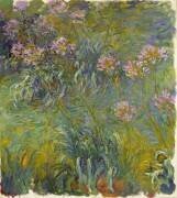 Agapanthe (Claude Monet) - Muzeo.com