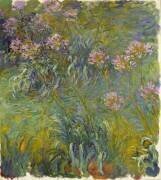 Agapanthe (Claude Monet) - Muzeo.com