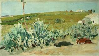 Agaves à Séville (Joaquin Sorolla y Bastida) - Muzeo.com