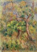 Arbres (Auguste Renoir) - Muzeo.com
