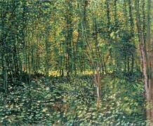Arbres et sous-bois (Vincent van Gogh) - Muzeo.com