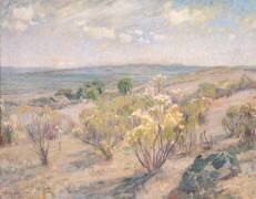 Arbrisseaux en fleurs (Llanos Alberto Valenzuela) - Muzeo.com