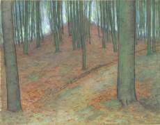 Bois de hêtres (Piet Mondrian) - Muzeo.com