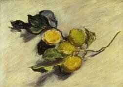 Branche de citronnier (Claude Monet) - Muzeo.com