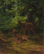 Cerf en repos (Rosa Bonheur) - Muzeo.com
