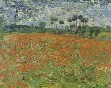 Champ de coquelicots (Vincent van Gogh) - Muzeo.com