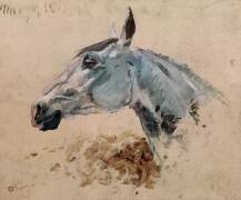 Cheval blanc 'Gazelle' (Henri de Toulouse-Lautrec) - Muzeo.com