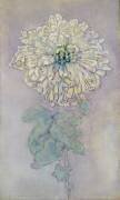 Chrysanthème (Piet Mondrian) - Muzeo.com