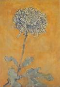 Chrysanthème (Piet Mondrian) - Muzeo.com