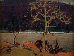 Colline violette (Tom Thomson) - Muzeo.com
