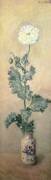 Coquelicot blanc (Claude Monet) - Muzeo.com