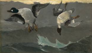 Droite et gauche (Winslow Homer) - Muzeo.com