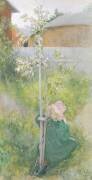 Fleur de pommier (Carl Larsson) - Muzeo.com