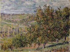 Fleur de pommier (Claude Monet) - Muzeo.com