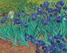 Iris (Vincent van Gogh) - Muzeo.com
