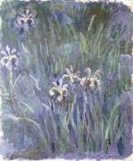 Iris (Claude Monet) - Muzeo.com
