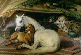 La Tente Arabe (Edwin Landseer) - Muzeo.com