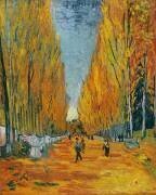 L'allée des Alyscamps (Vincent van Gogh) - Muzeo.com