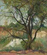 L'arbre (Suzanne Valadon) - Muzeo.com