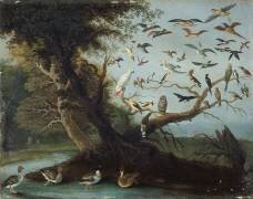 L'Arbre aux oiseaux (Jan van Kessel) - Muzeo.com