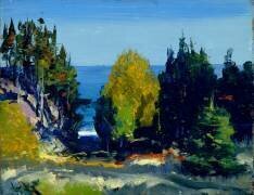 Le bosquet - Monhegan (George Wesley Bellows) - Muzeo.com