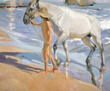 Le Cheval blanc (Joaquin Sorolla y Bastida) - Muzeo.com
