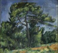Le grand pin (Paul Cézanne) - Muzeo.com