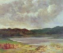 Le lac noir (Gustave Courbet) - Muzeo.com