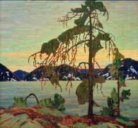 Le pin gris (Tom Thomson) - Muzeo.com