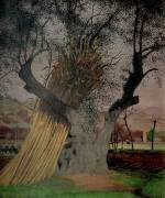 Le vieil olivier (Félix Vallotton) - Muzeo.com