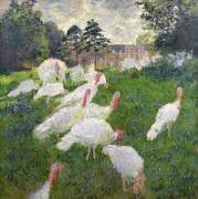 Les dindons (Claude Monet) - Muzeo.com