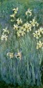 Les iris jaunes (Claude Monet) - Muzeo.com