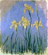 Les iris jaunes (Claude Monet) - Muzeo.com