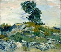 Les rochers (Vincent van Gogh) - Muzeo.com
