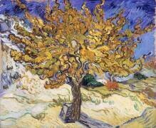 Mûrier (Vincent van Gogh) - Muzeo.com