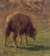 Mouton paissant (Rosa Bonheur) - Muzeo.com